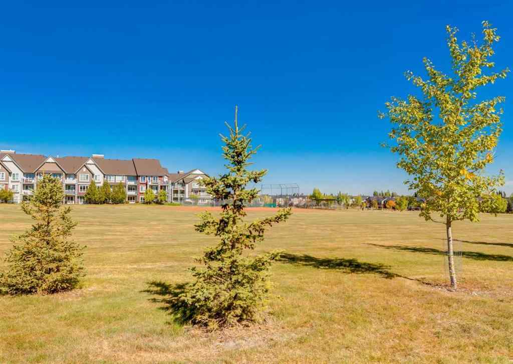 MLS® A2259849 - 24 Silverado Saddle Court SW in Silverado Calgary, Residential