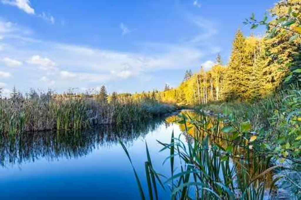 MLS® A2259863 - 41 Evergreen Mount SW in Evergreen Calgary, Residential