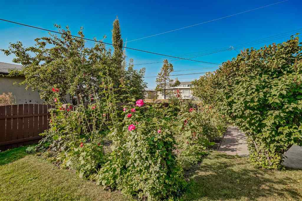 MLS® A2259947 - 1819 38 Street SE in Forest Lawn Calgary, Residential