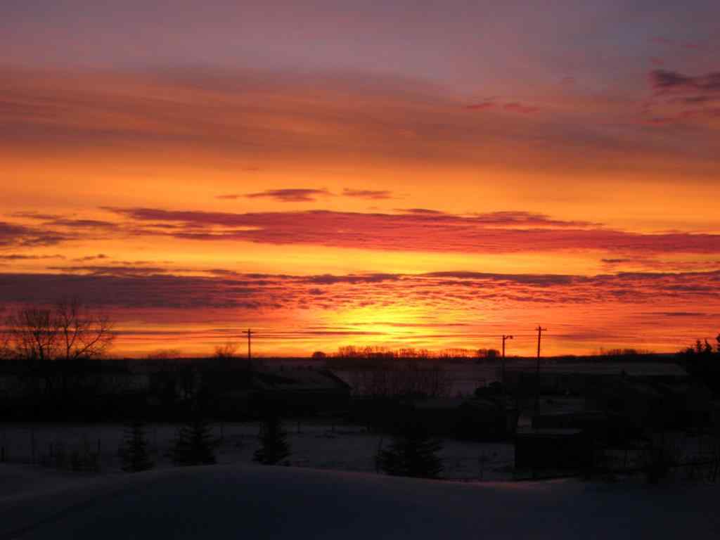 MLS® A2260040 - 319 Muirfield Crescent  in Lakes of Muirfield Lyalta, Land