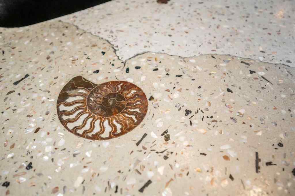 MLS® A2260175 - 18 Cimarron Grove Bay  in Cimarron Okotoks, Residential