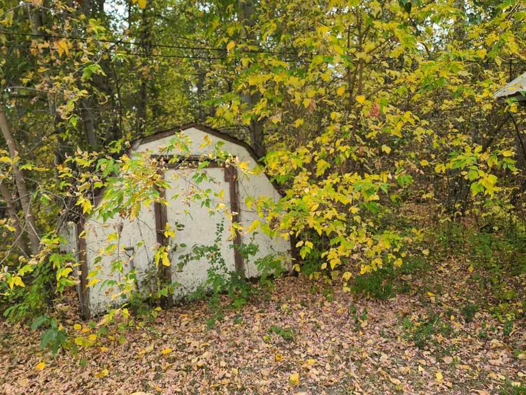 MLS® A2260187 - 10830 91 Street  in Lower West Peace Peace River, Residential