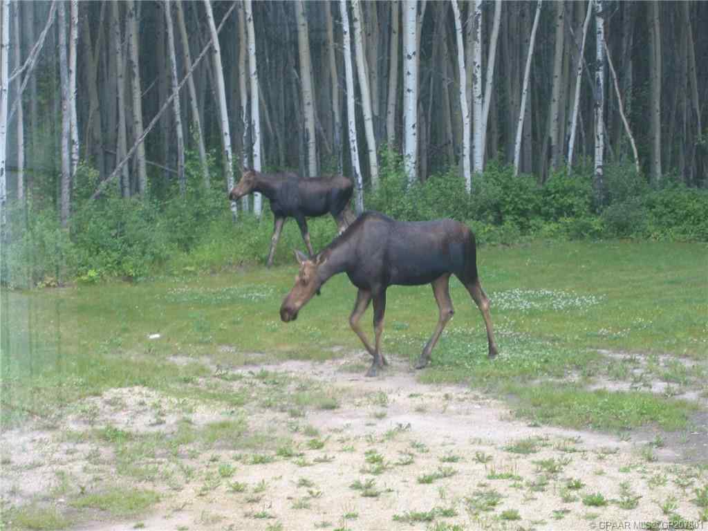 MLS® A2260228 - 72598 Range Road 195   in NONE Rural Big Lakes County, Agri-Business