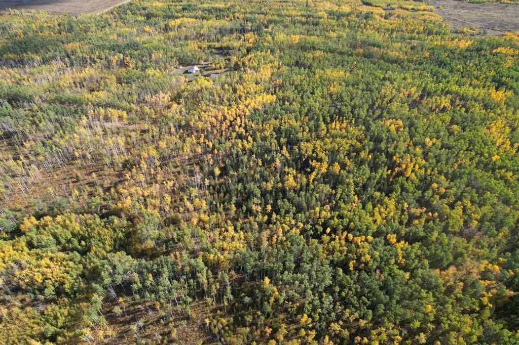 MLS® A2260228 - 72598 Range Road 195   in NONE Rural Big Lakes County, Agri-Business