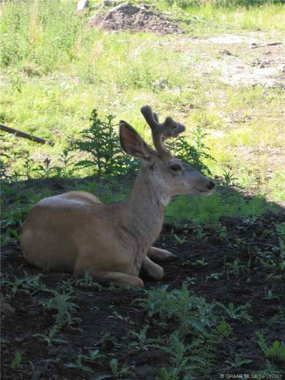 MLS® A2260228 - 72598 Range Road 195   in NONE Rural Big Lakes County, Agri-Business