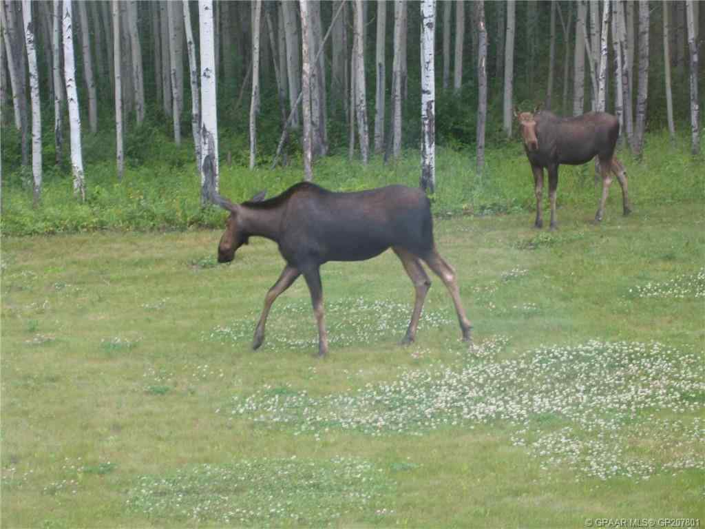 MLS® A2260228 - 72598 Range Road 195   in NONE Rural Big Lakes County, Agri-Business