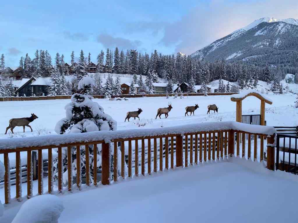 MLS® A2260273 - 15 Canyon Road  in Canyon Ridge Canmore, Residential