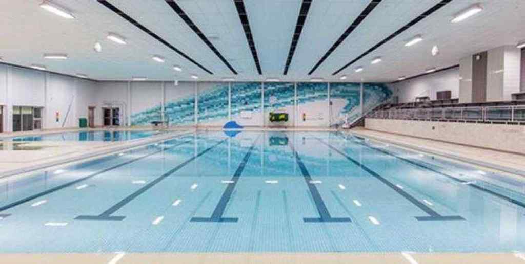 MLS® A2260299 - 2015 34 Street SW in Killarney/Glengarry Calgary, Residential