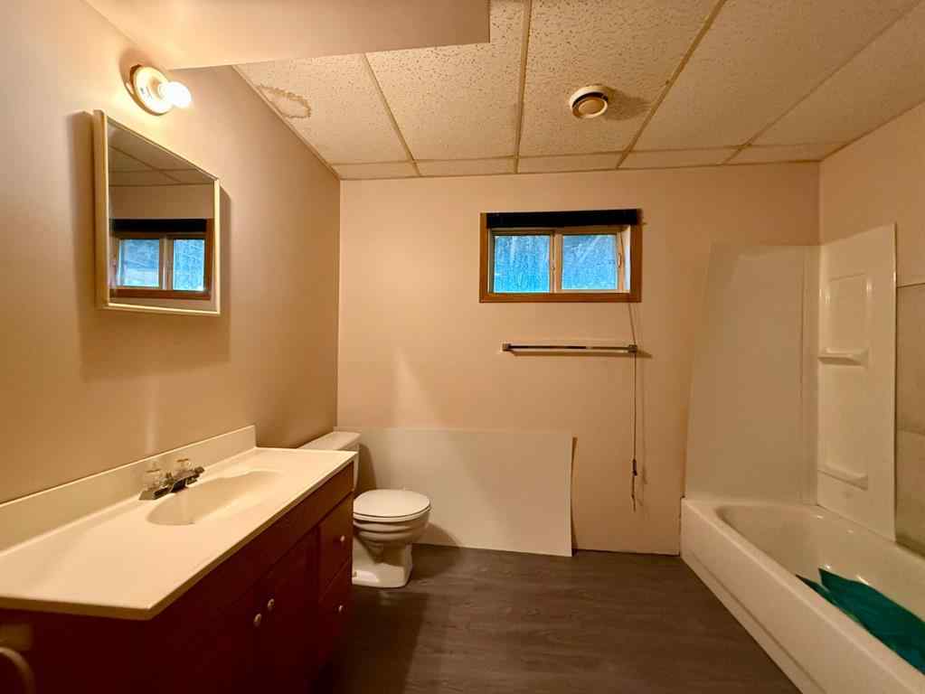 MLS® A2260308 - 5002 49 Avenue  in NONE Botha, Residential