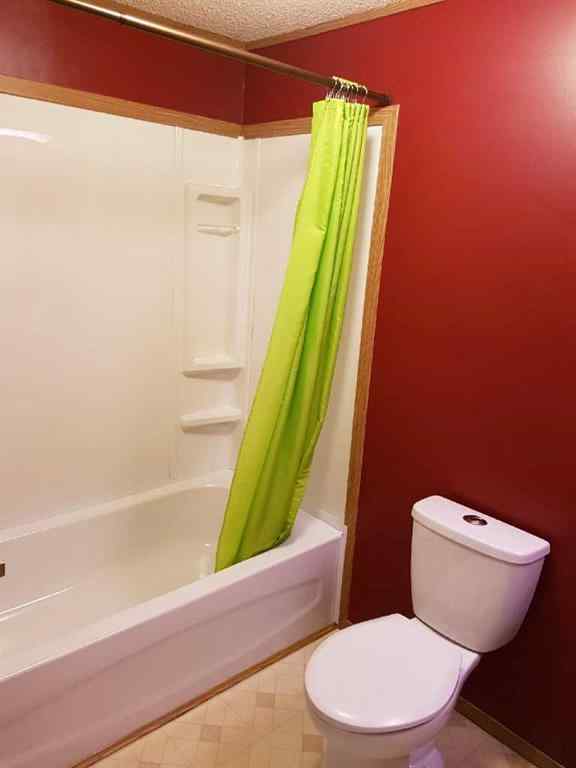 MLS® A2260327 - 10620 98A Street  in N/A Clairmont, Rental