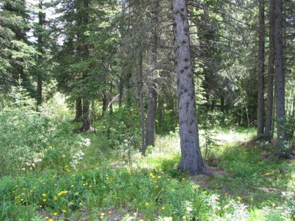 MLS® A2260408 - 4 Wintergreen Way  in Wintergreen Rural Rocky View County, Land