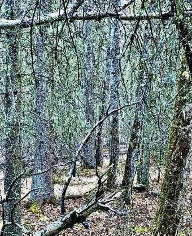 MLS® A2260408 - 4 Wintergreen Way  in Wintergreen Rural Rocky View County, Land