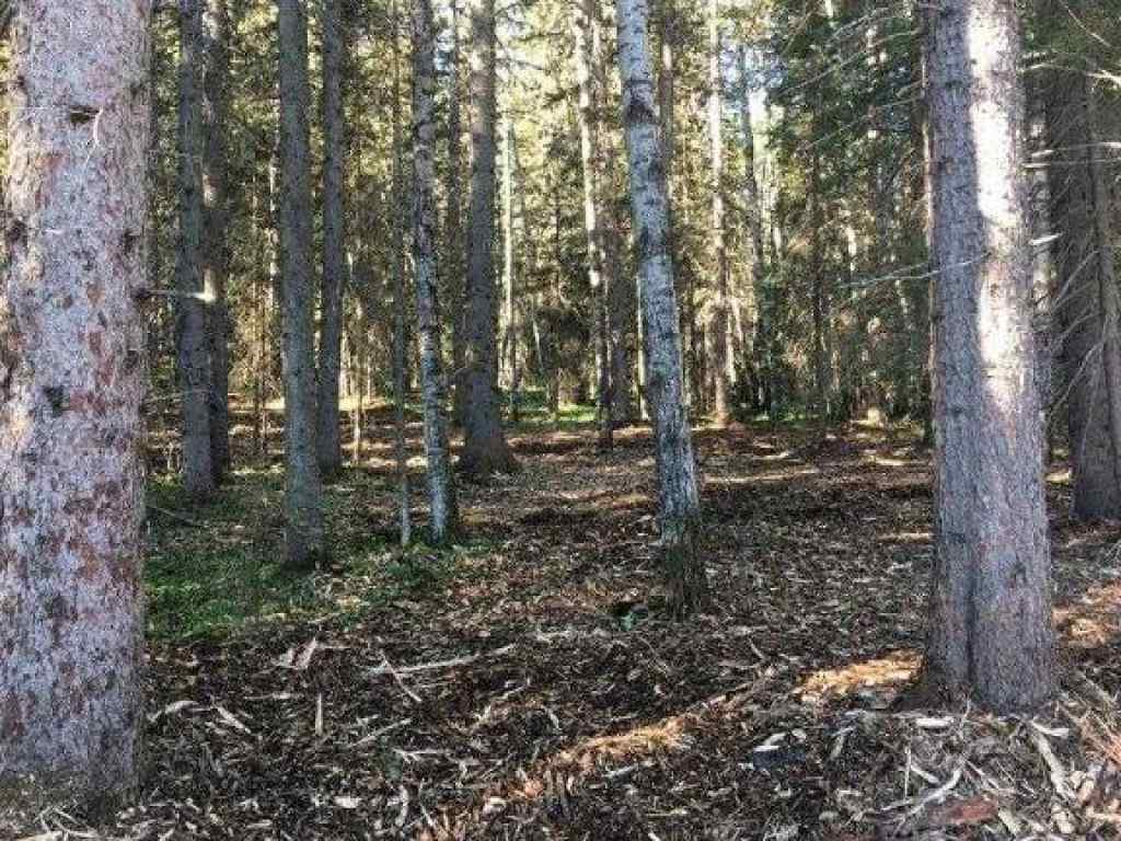 MLS® A2260408 - 4 Wintergreen Way  in Wintergreen Rural Rocky View County, Land