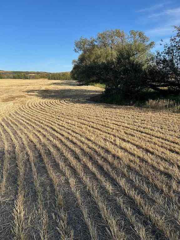 MLS® A2260441 -  TWship Road 374   in NONE Rural Red Deer County, Land