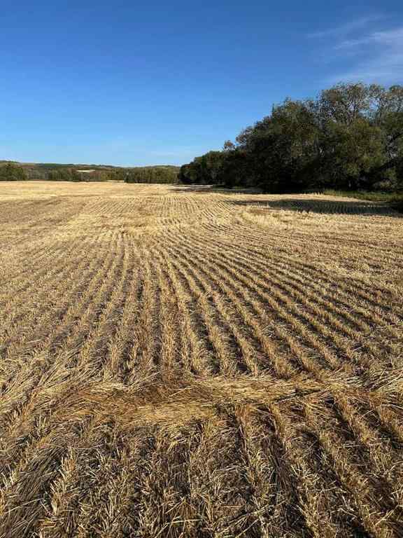 MLS® A2260441 -  TWship Road 374   in NONE Rural Red Deer County, Land