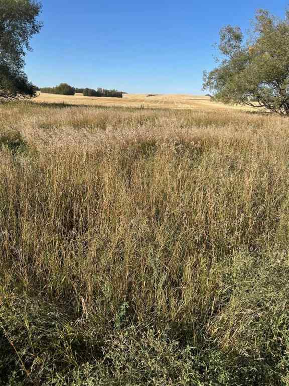 MLS® A2260441 -  TWship Road 374   in NONE Rural Red Deer County, Land
