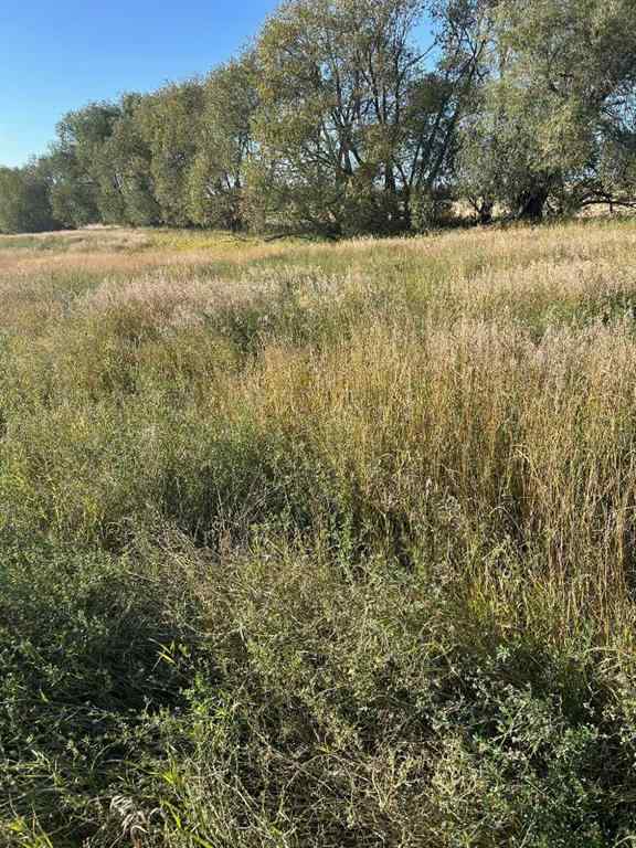 MLS® A2260441 -  TWship Road 374   in NONE Rural Red Deer County, Land