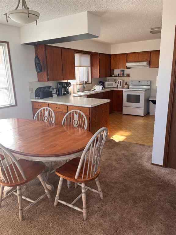 MLS® A2260519 - 409 Main Street  NW in NONE Milk River, Residential