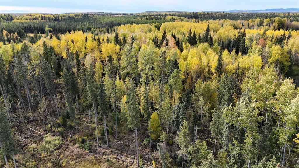 MLS&reg; # A2260701 - 16322B Township Road 544   in NONE Rural Yellowhead County, Land Open Houses