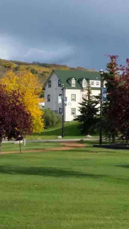 MLS® A2260727 - 10002 98 Street  in Downtown Peace River, Commercial