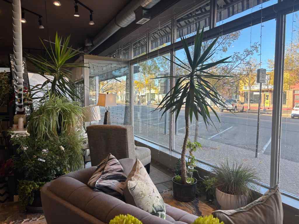 MLS® A2260768 - 4965 50 Street  in Downtown Camrose Camrose, Commercial