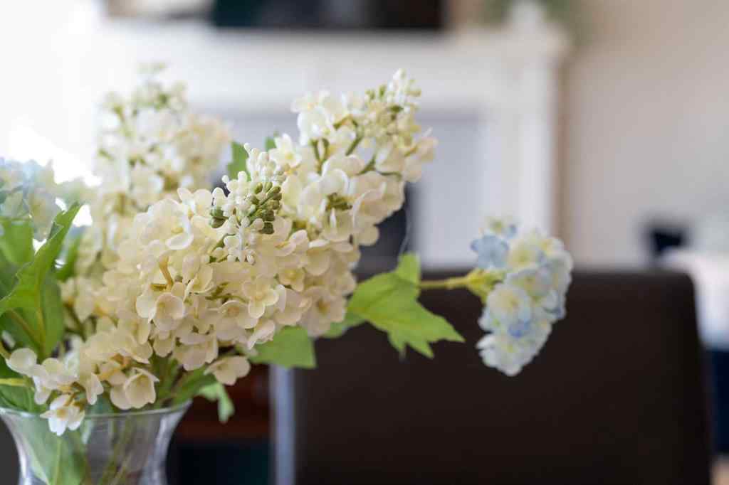 MLS® A2260783 - 220 Auburn Meadows Crescent SE in Auburn Bay Calgary, Residential