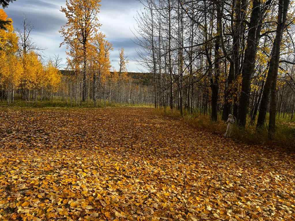 MLS® A2260809 - Unit #Lot 24 120053 Township Road 584   in NONE Rural Woodlands County, Residential