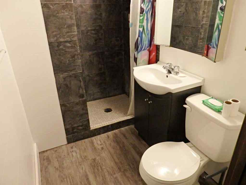 MLS® A2260897 - 4711 55 Avenue  in Vermilion Vermilion, Residential