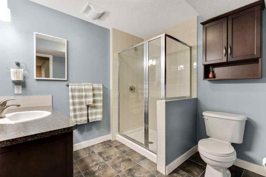 MLS® A2260976 - 466 Elgin Way SE in McKenzie Towne Calgary, Residential