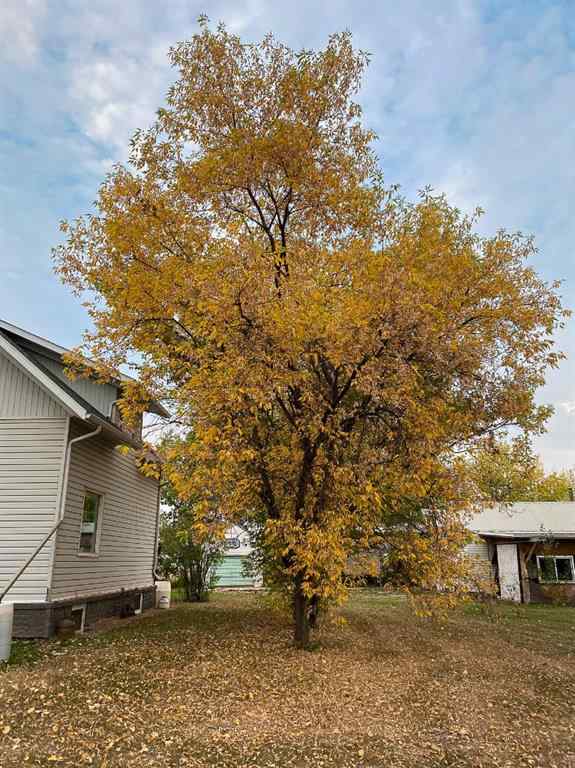 MLS® A2261033 - 131 2nd Street NW in NONE Falher, Residential