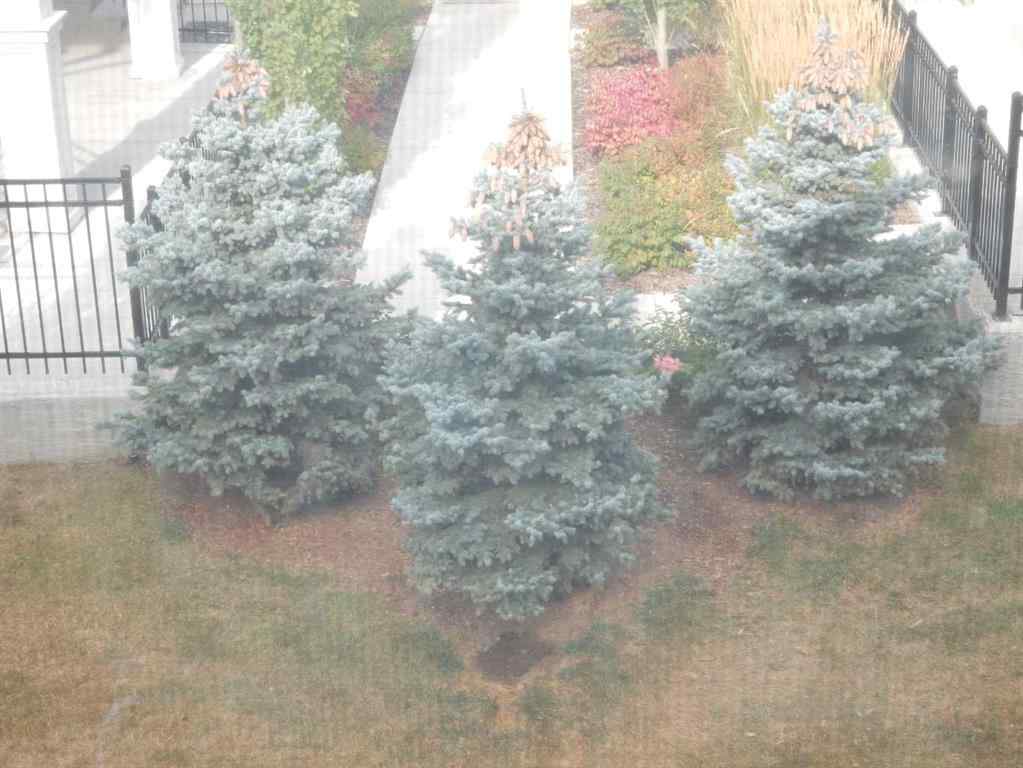 MLS® A2261039 - 352 Cranbrook Square SE in Cranston Calgary, Residential