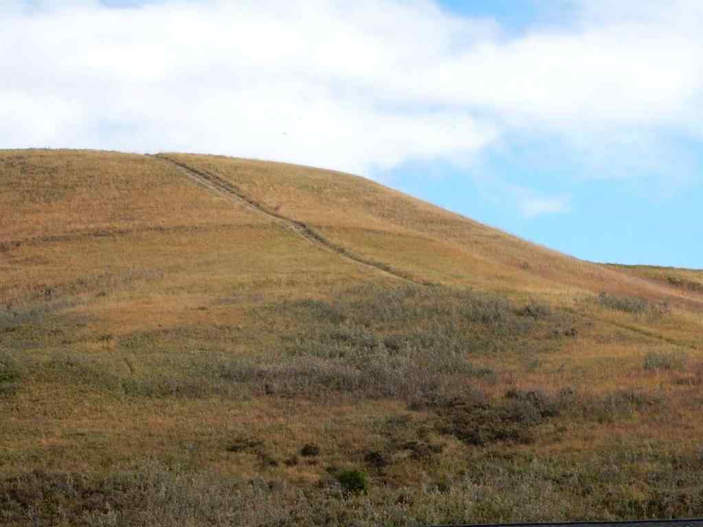 MLS® A2261039 - 352 Cranbrook Square SE in Cranston Calgary, Residential