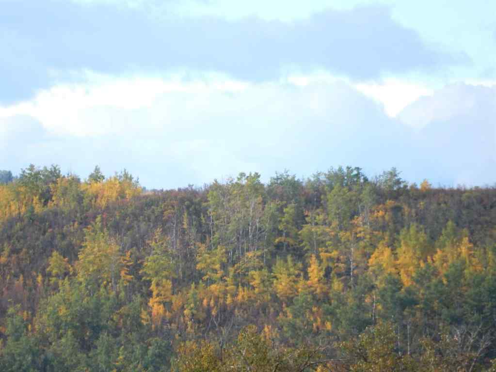 MLS® A2261039 - 352 Cranbrook Square SE in Cranston Calgary, Residential