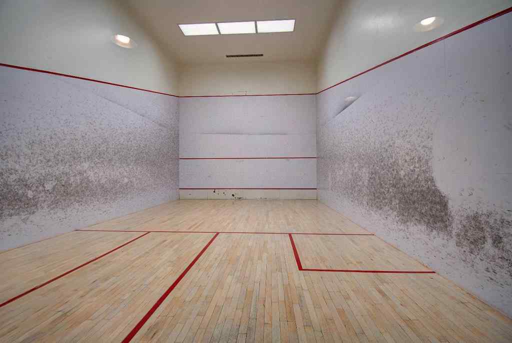 MLS® A2261144 - Unit #2403 1100 8 Avenue SW in Downtown West End Calgary, Residential