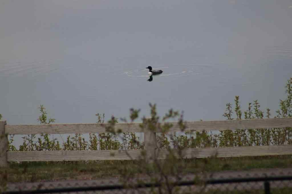 MLS® A2261173 - 31 Montenaro Bay  in NONE Rural Rocky View County, Residential