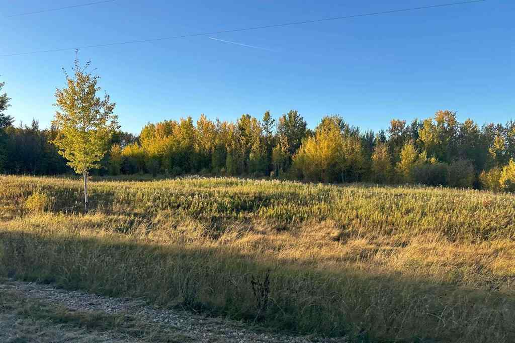 MLS® A2261275 - Lot 2, Willowside Estates   in NONE Rural Woodlands County, Land