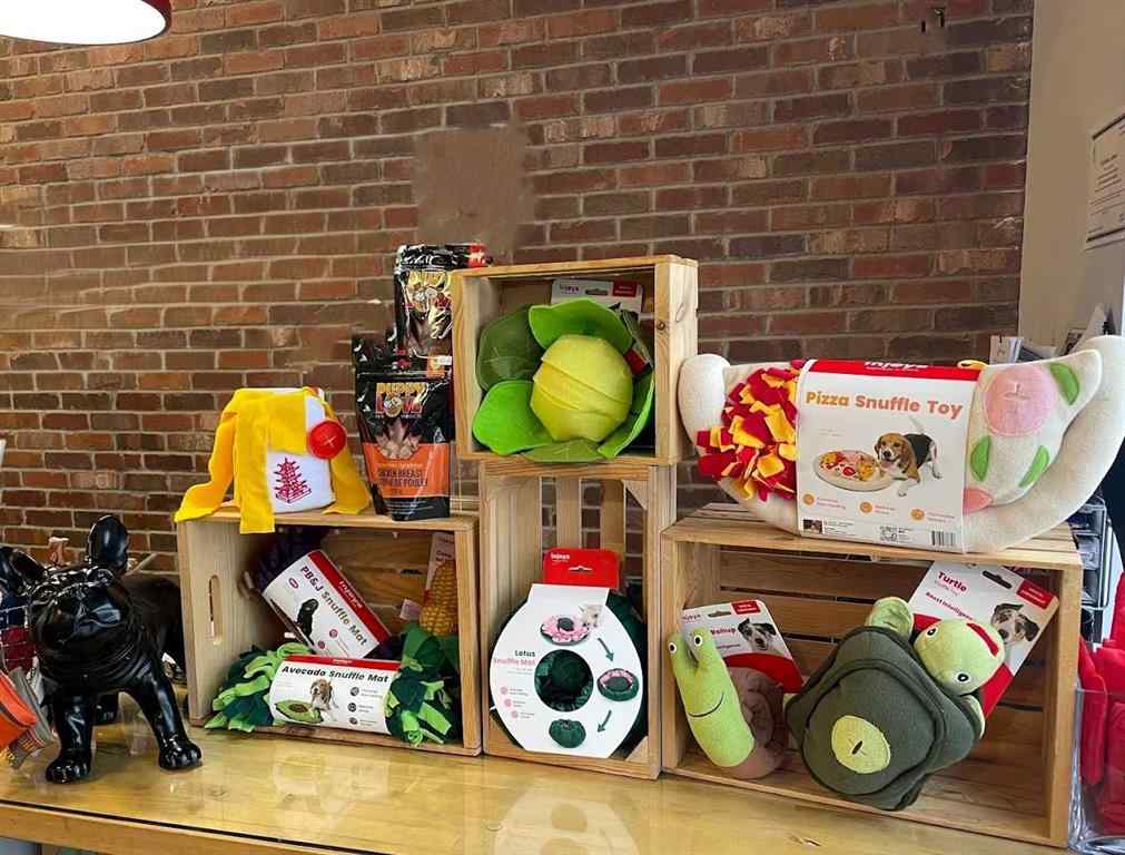 MLS® A2261306 - 123 Pet Specialty with Grooming Way  in Homesteader Edmonton, Commercial