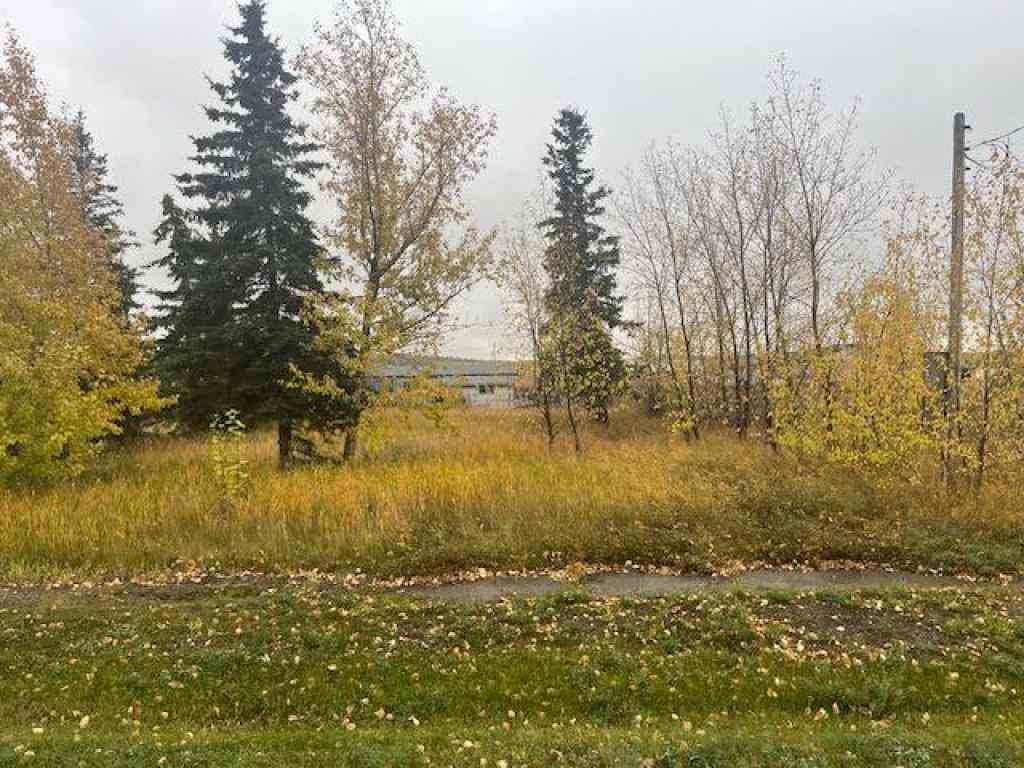 MLS® A2261483 - 5023 50 Avenue  in NONE Woking, Land