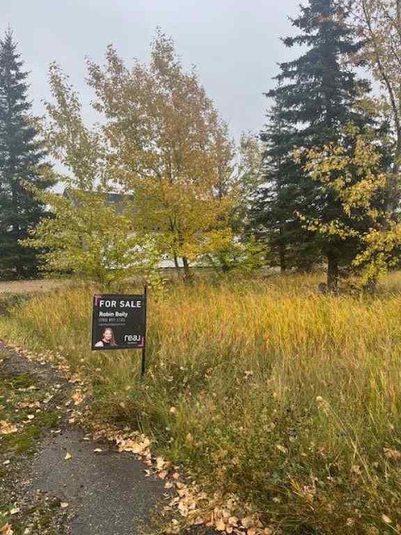 MLS® A2261483 - 5023 50 Avenue  in NONE Woking, Land