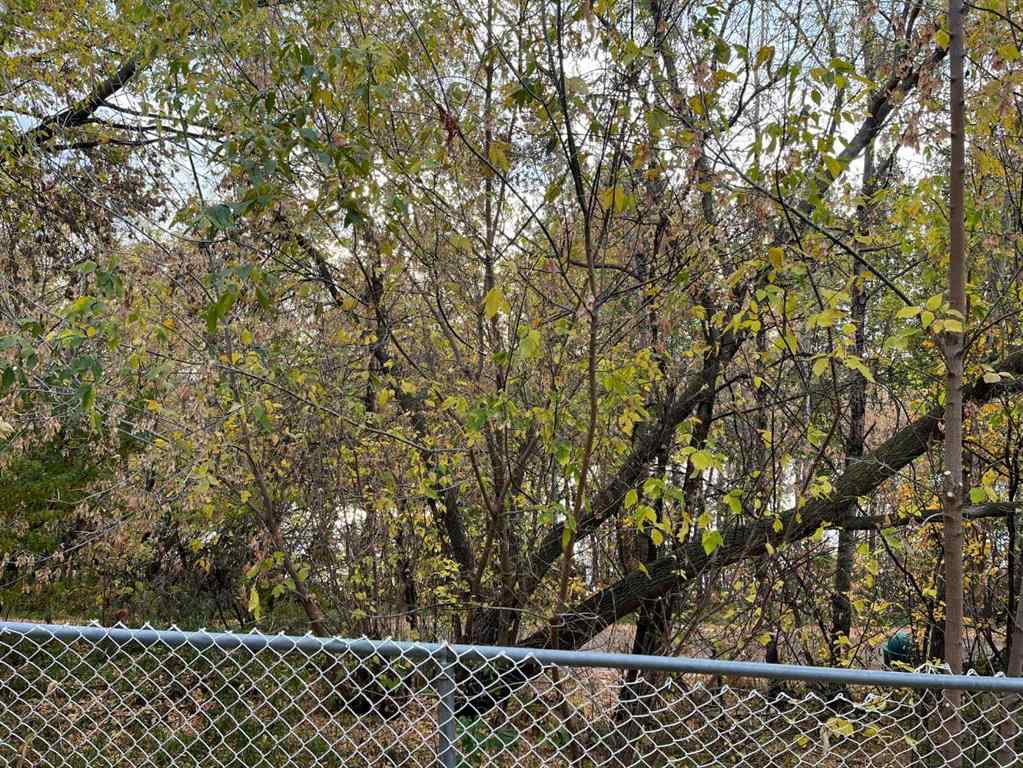 MLS® A2261520 - 65 Leung Place  in Laurel Blackfalds, Residential