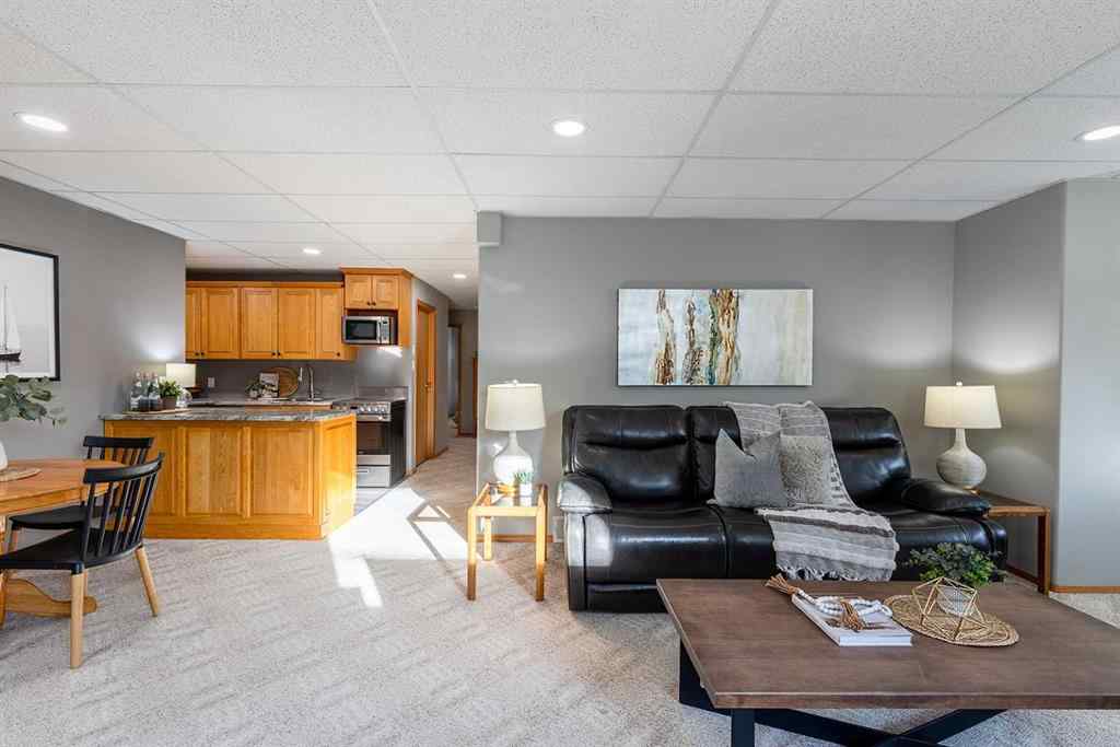 MLS® A2261552 - 58 Cottonwood Court SW in Cottonwood Medicine Hat, Residential