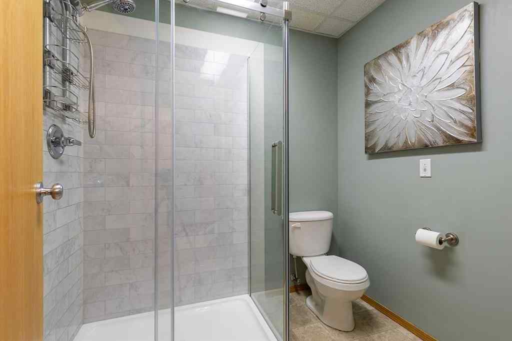 MLS® A2261552 - 58 Cottonwood Court SW in Cottonwood Medicine Hat, Residential