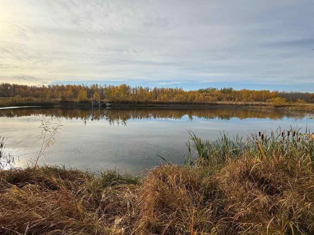 MLS® A2261564 -  88 Connector   in NONE Rural Mackenzie County, Agri-Business