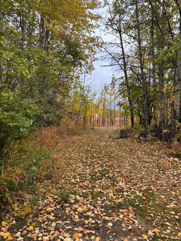 MLS® A2261566 - 70009 Range Road 75   in NONE Grovedale, Residential