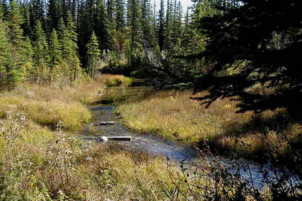 MLS® A2261593 - Unit #518 30 Discovery Ridge Close SW in Discovery Ridge Calgary, Residential