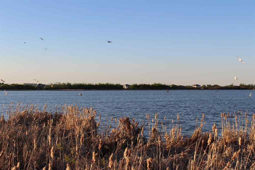 MLS® A2261601 - 9431 123 Avenue  in Crystal Ridge Grande Prairie, Residential