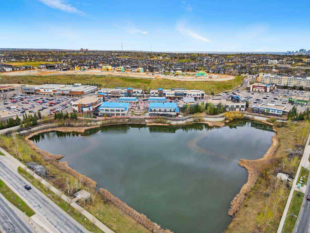 MLS® A2261614 - 113 Straddock Terrace SW in Strathcona Park Calgary, Residential