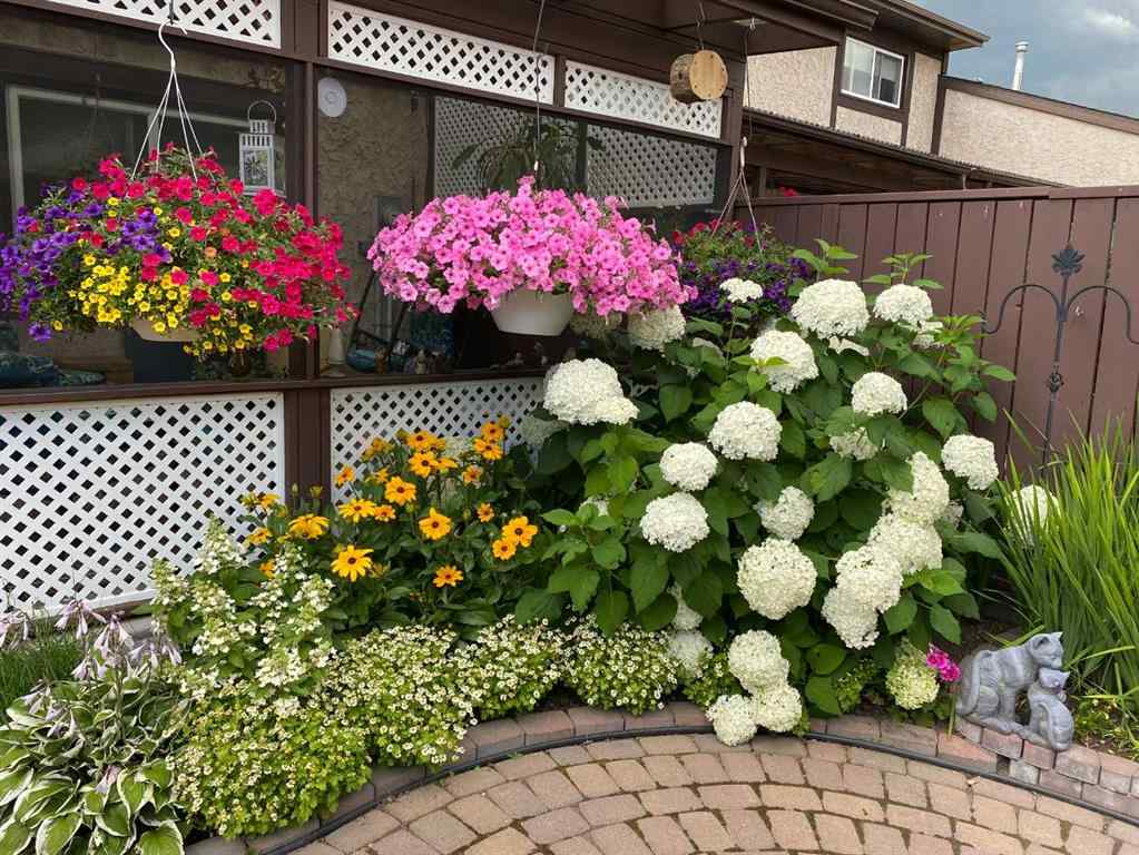 MLS® A2261639 - 4313 46A Avenue  in Parkvale Red Deer, Residential