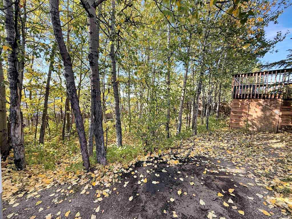 MLS® A2261669 - 9802 110 Street  in NONE Grande Cache, Residential