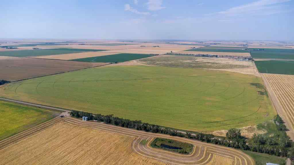 MLS® A2261739 - 84081 RGE RD 191   in NONE Rural Lethbridge County, Agri-Business
